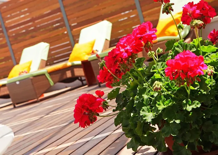 Apartments Diana - New Heated Pool