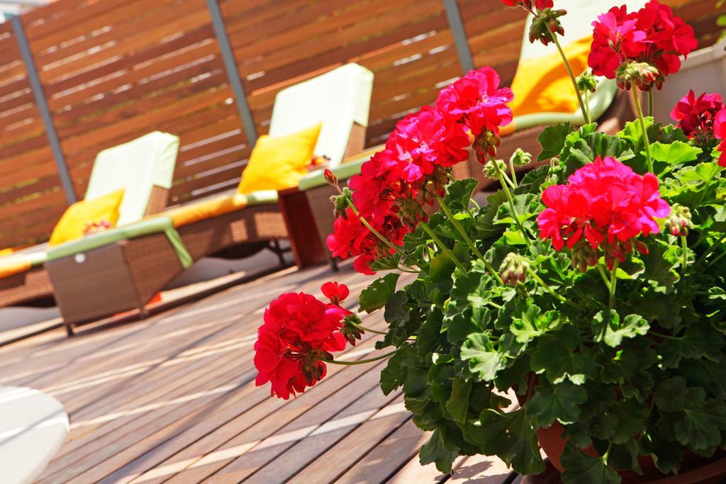 Diana - New Heated Pool Apartment Bol
